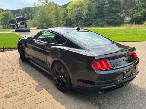Used 2023 Ford Mustang Coupe w/ Equipment Group 101A RWD image 6