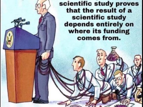 Used 2000 Mercedes-Benz S 500 image 13