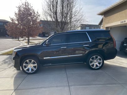 Used 2019 Cadillac Escalade Premium Luxury