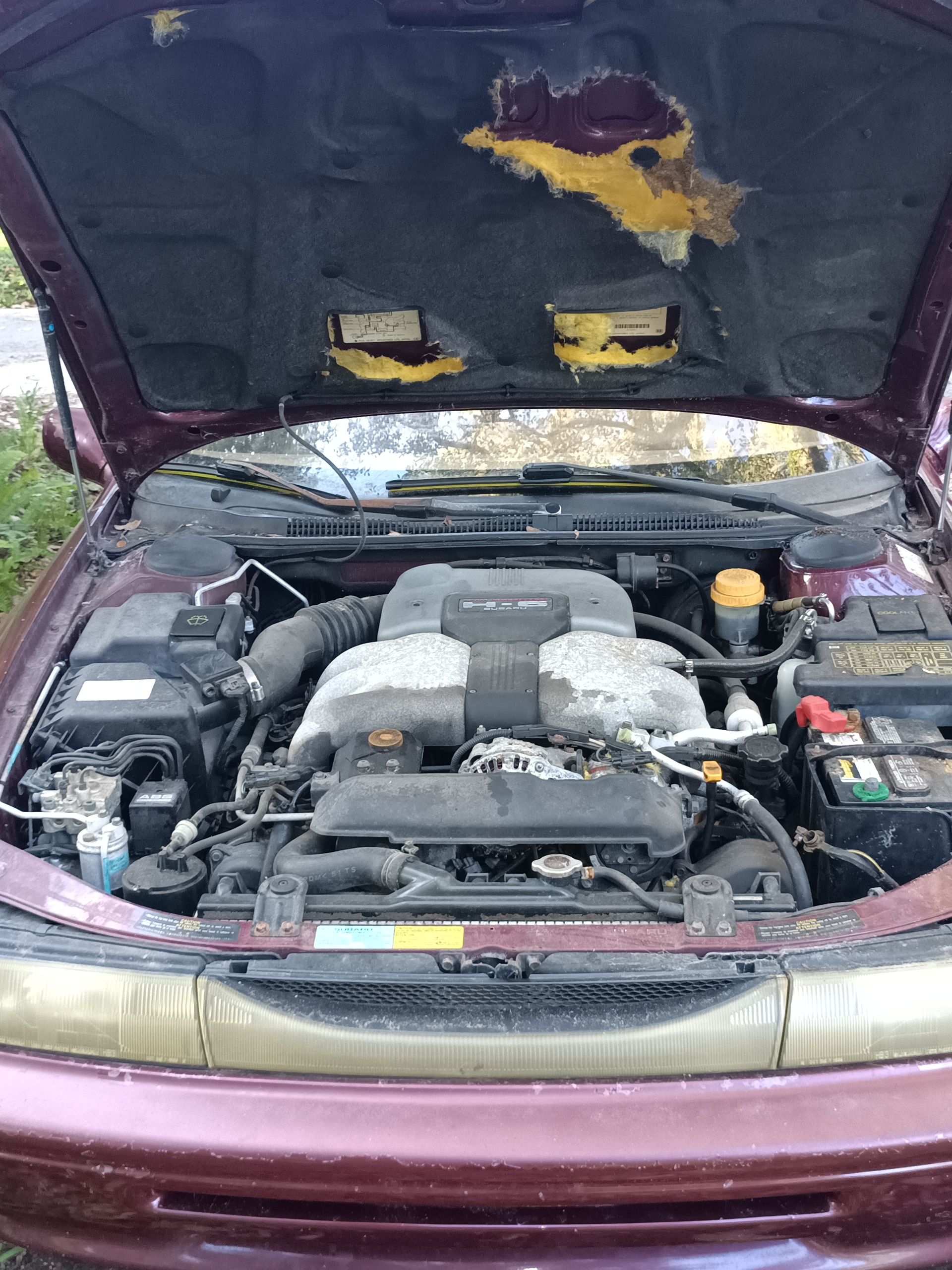 Used 1995 Subaru SVX LSi AWD/4WD image 13