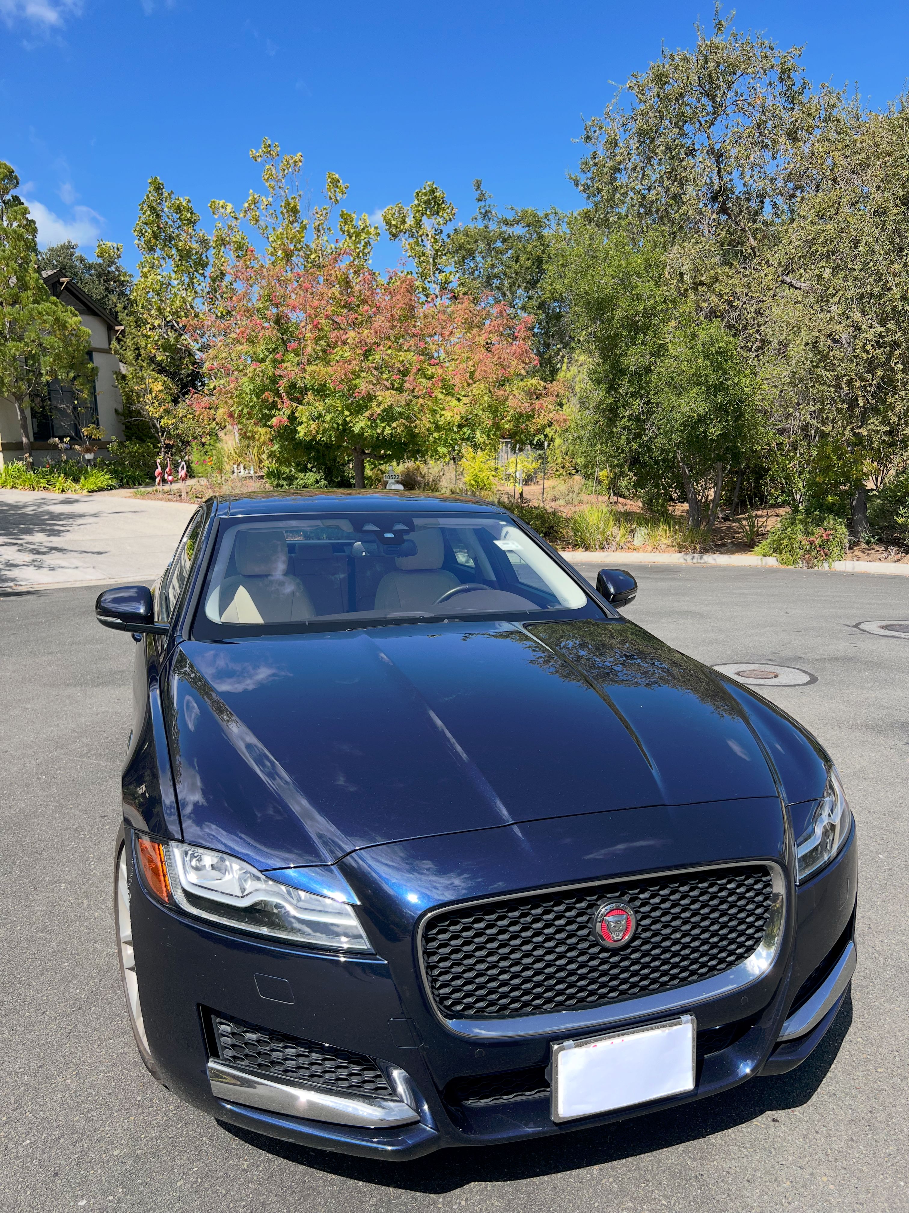 Used 2017 Jaguar XF Prestige AWD/4WD image 5