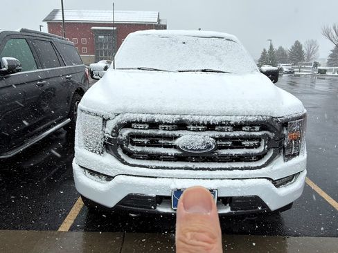 Used 2023 Ford F150 XLT w/ Equipment Group 302A High AWD/4WD image 1
