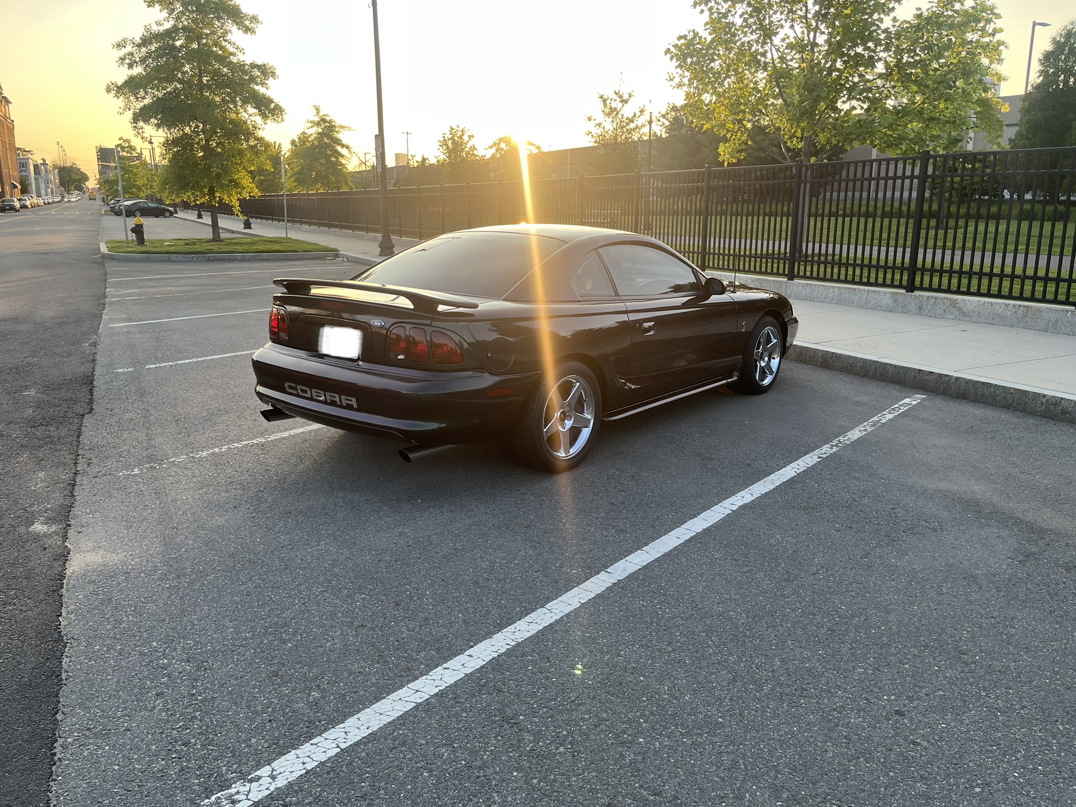 Used 1996 Ford Mustang Cobra RWD image 4
