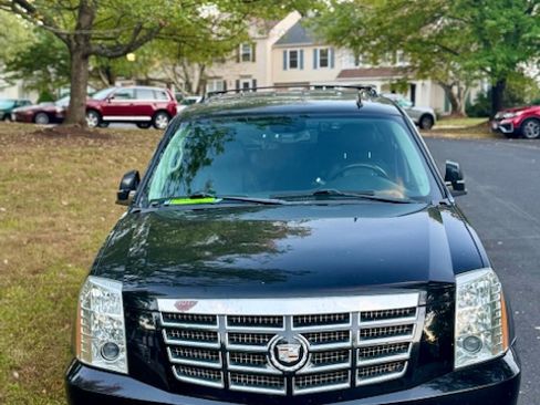 Used 2010 Cadillac Escalade Luxury image 16