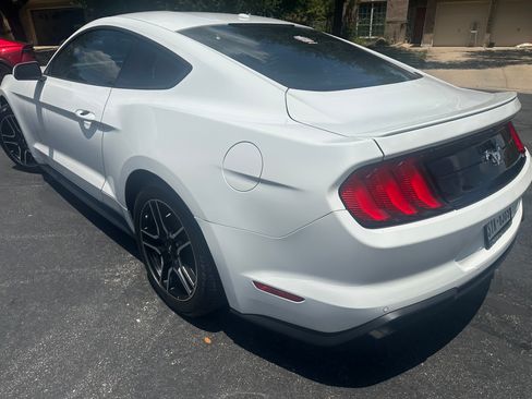 Used 2019 Ford Mustang Premium w/ Equipment Group 201A RWD image 14