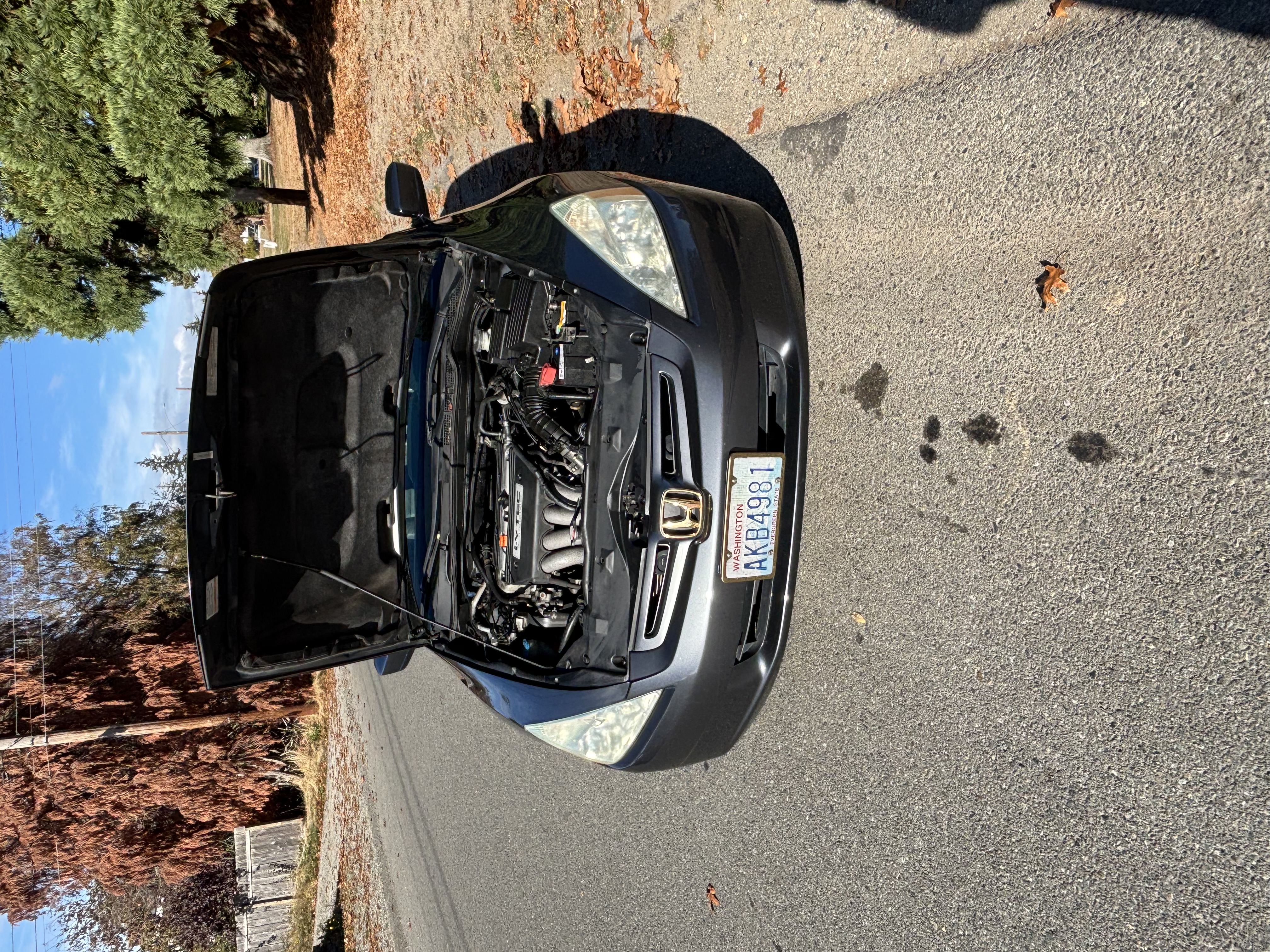 Used 2005 Honda Accord EX-L image 14
