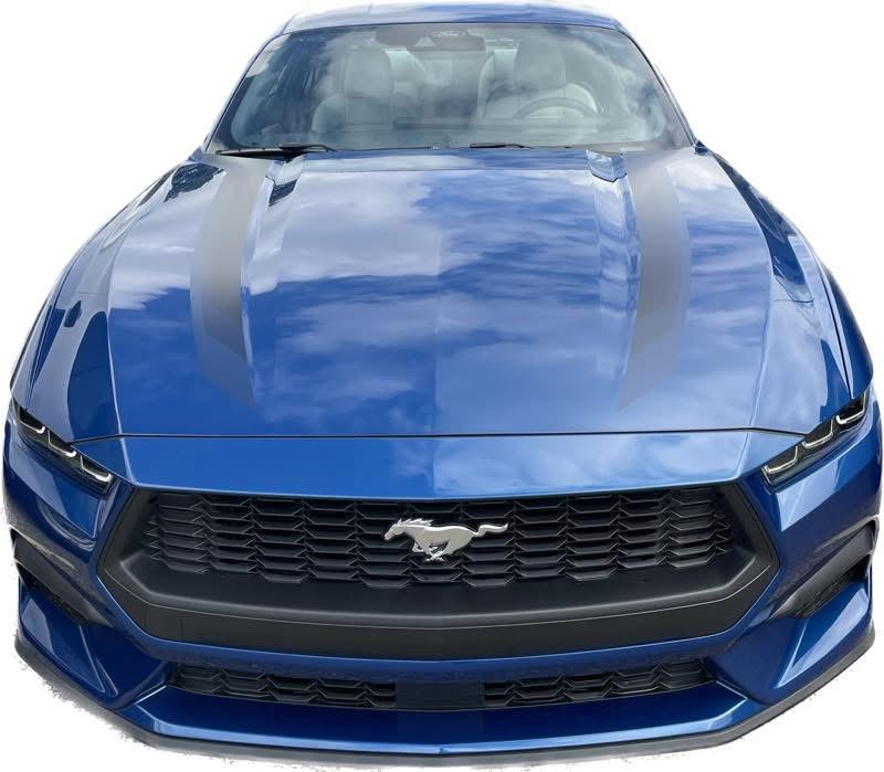 Used 2024 Ford Mustang Premium RWD image 4