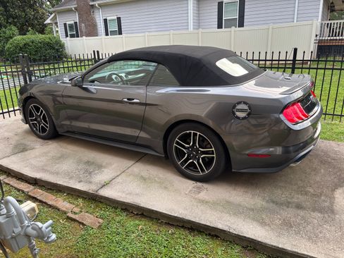 Used 2018 Ford Mustang Premium w/ Equipment Group 201A RWD image 6