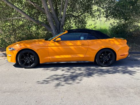 Used 2019 Ford Mustang Premium w/ Equipment Group 201A image 1