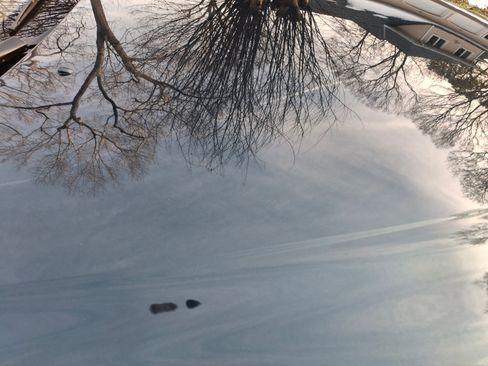 Used 1994 Lexus SC 300 Coupe image 17