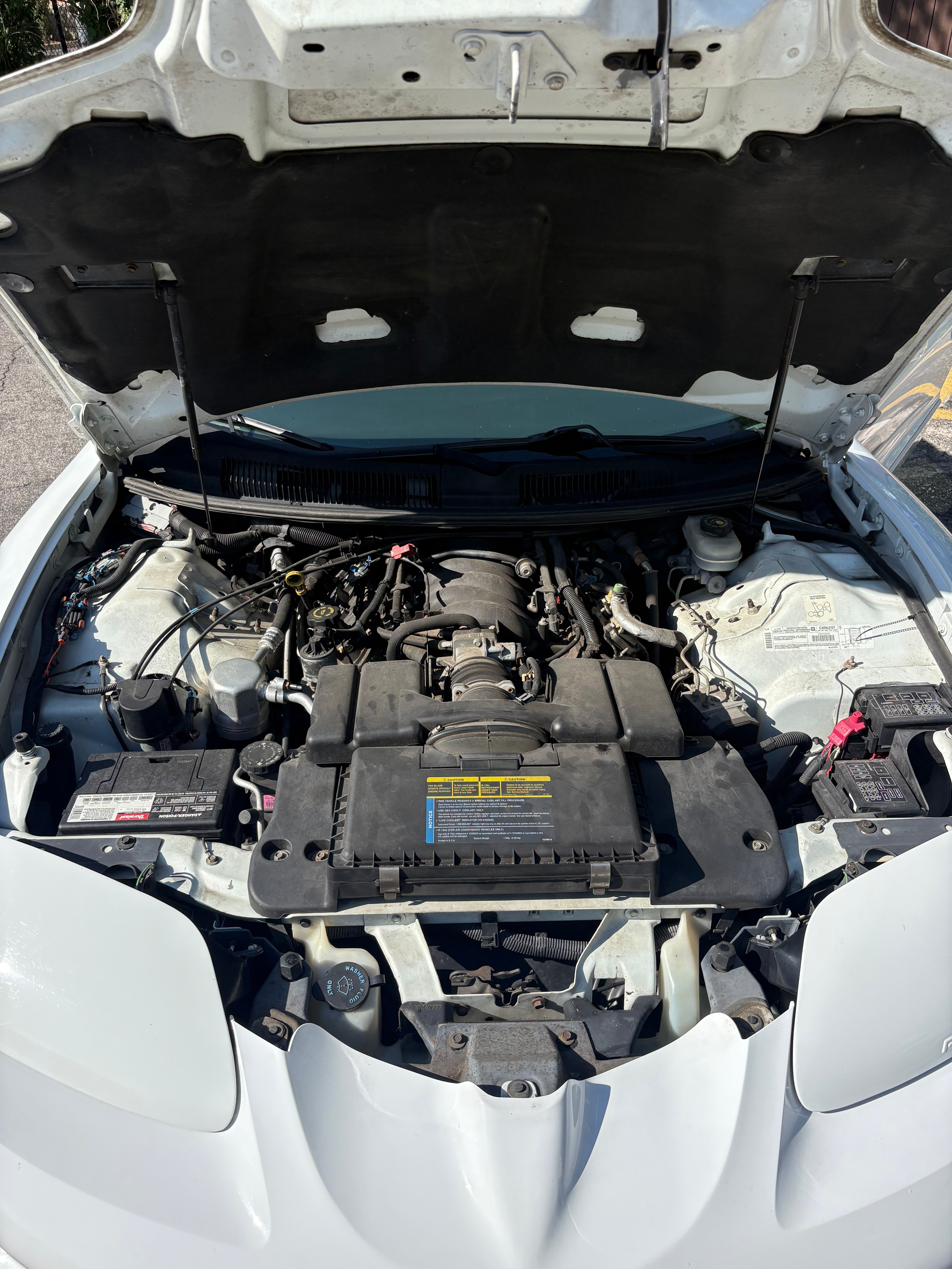 Used 1999 Pontiac Firebird Formula w/ Security Pkg RWD image 10