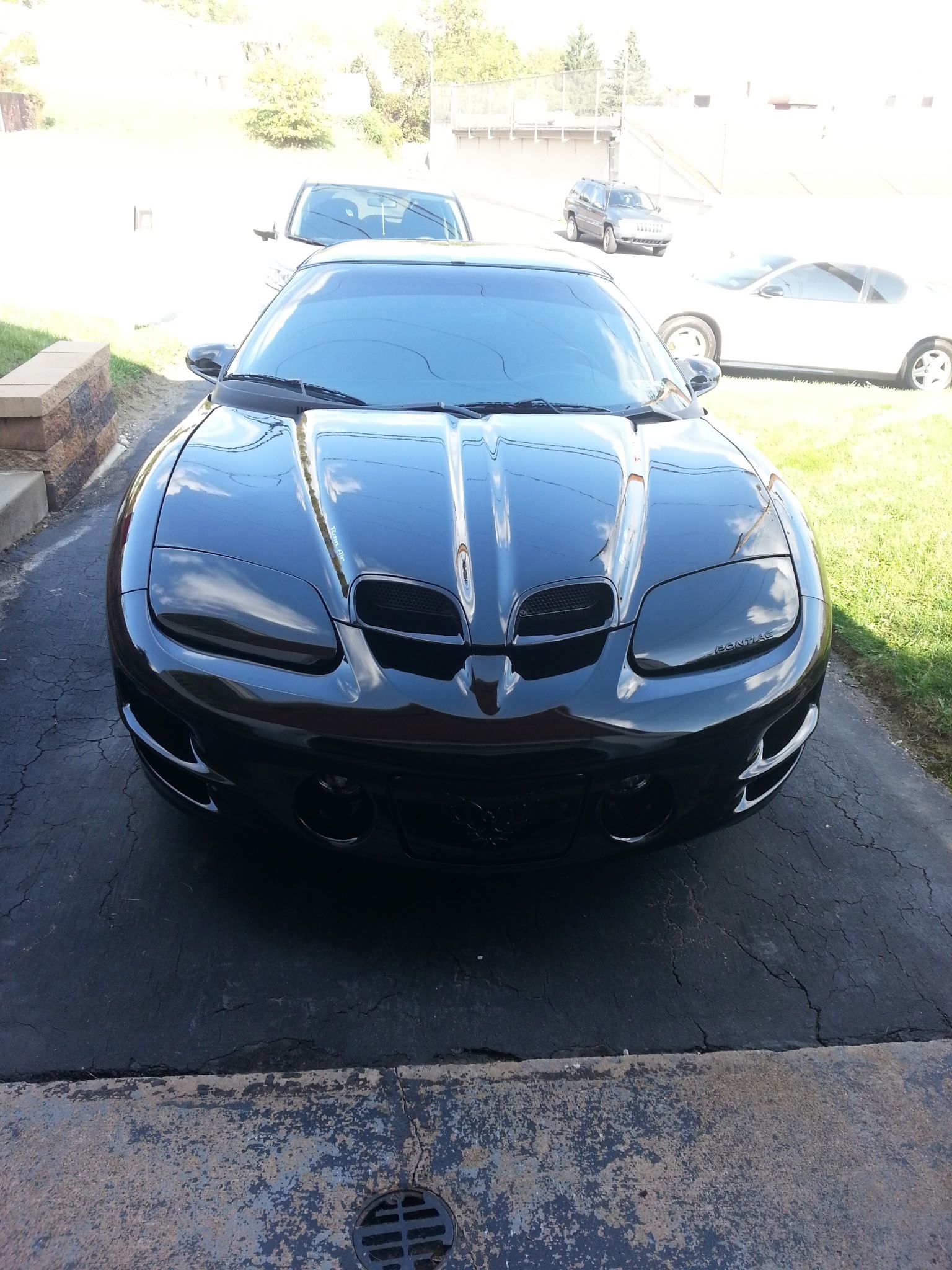 Used 2000 Pontiac Firebird Formula RWD image 14