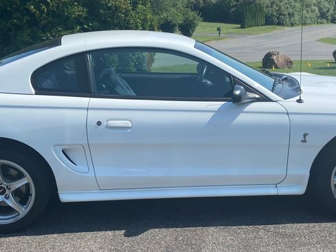 Used 1998 Ford Mustang Cobra RWD image 2