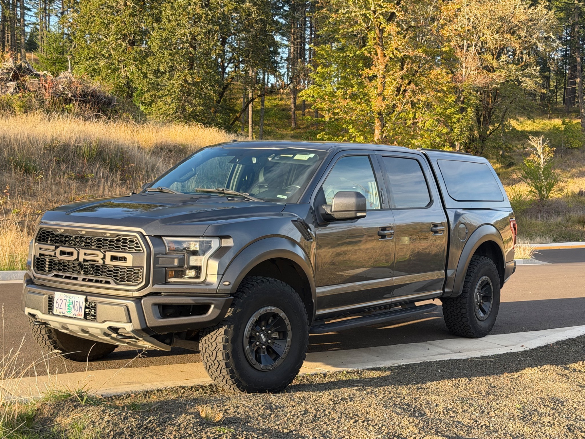 Used 2017 Ford F150 Raptor w/ Equipment Group 802A Luxury AWD/4WD image 1