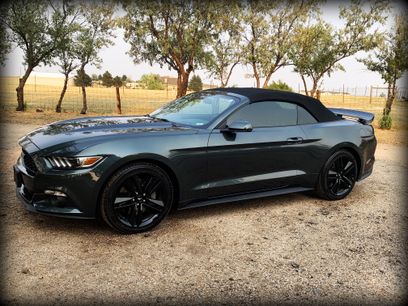 Used 2015 Ford Mustang Premium w/ Ecoboost Performance Package