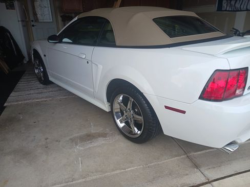 Used 2000 Ford Mustang GT image 5