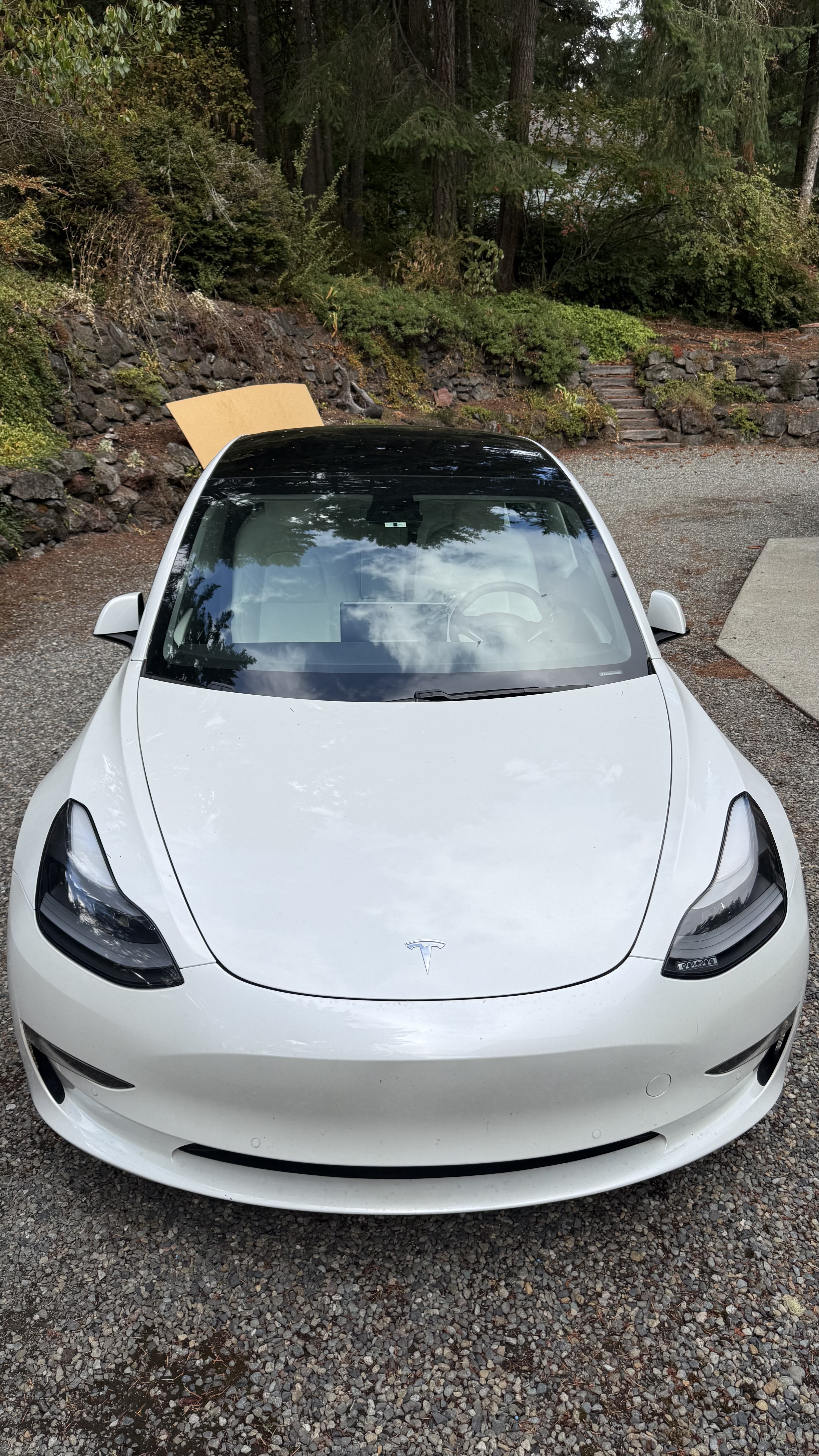 Used 2021 Tesla Model 3 Long Range AWD/4WD image 5