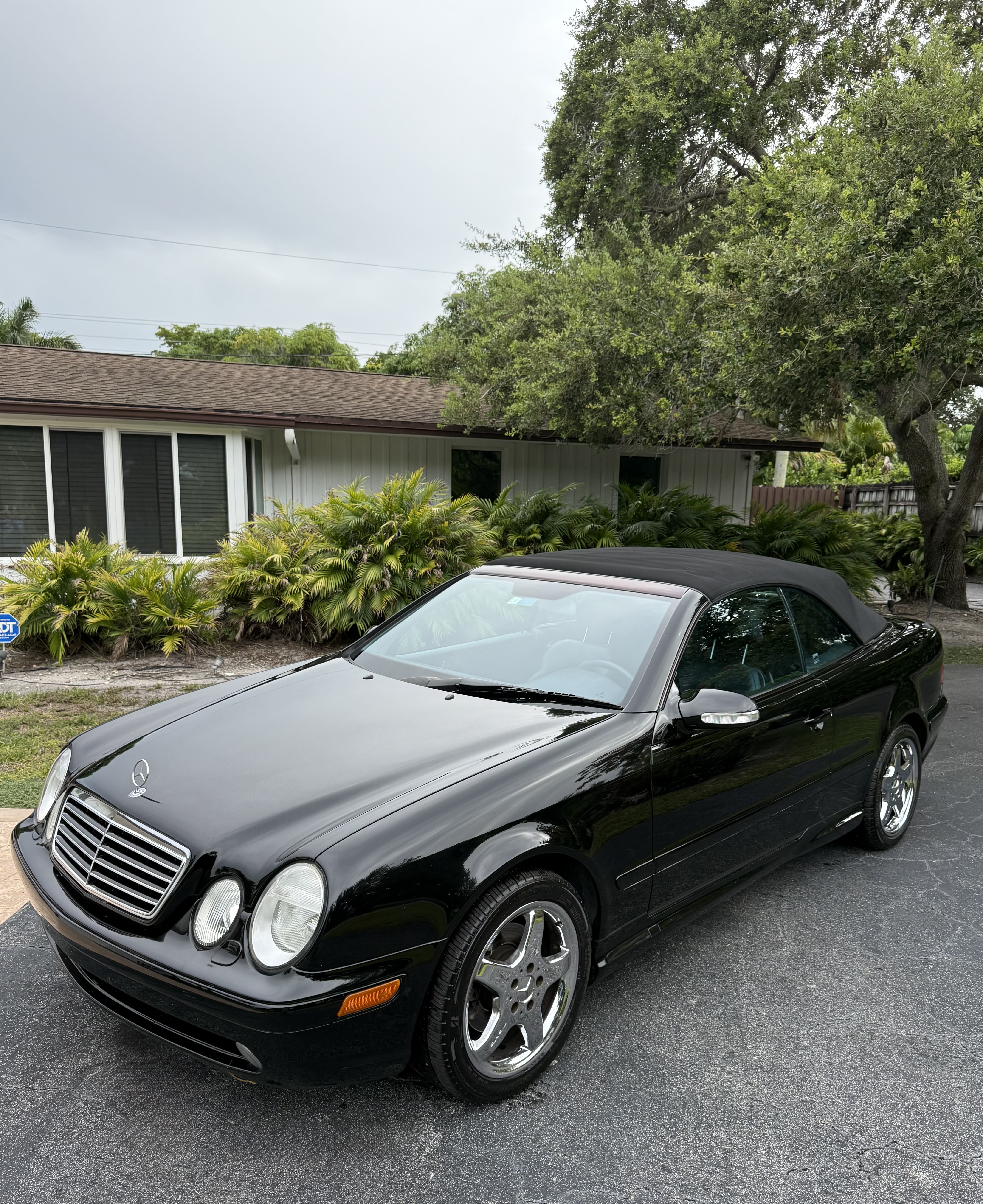 Used 2002 Mercedes-Benz CLK 430 Cabriolet image 5