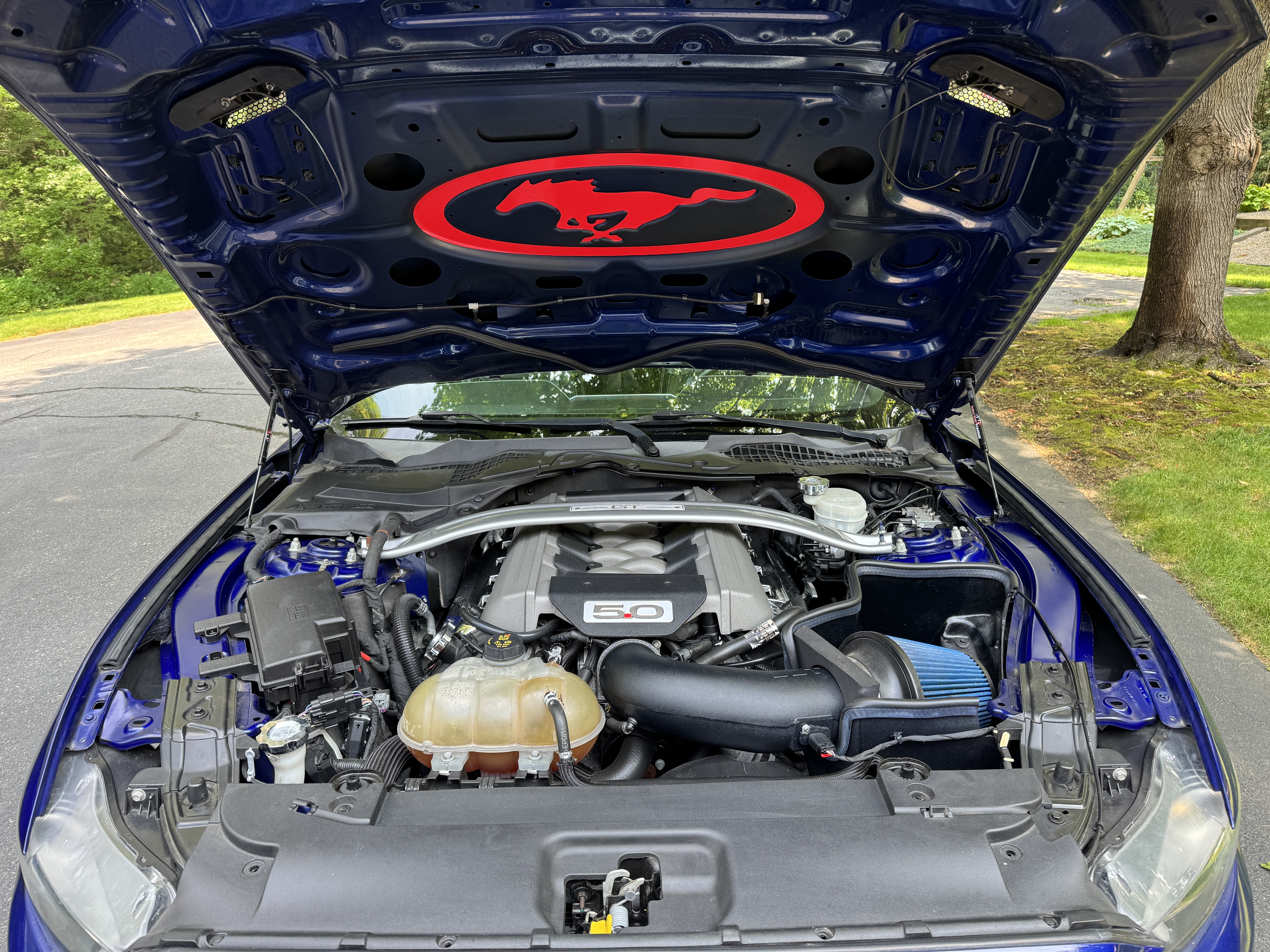 Used 2015 Ford Mustang GT Premium w/ Equipment Group 401A RWD image 12