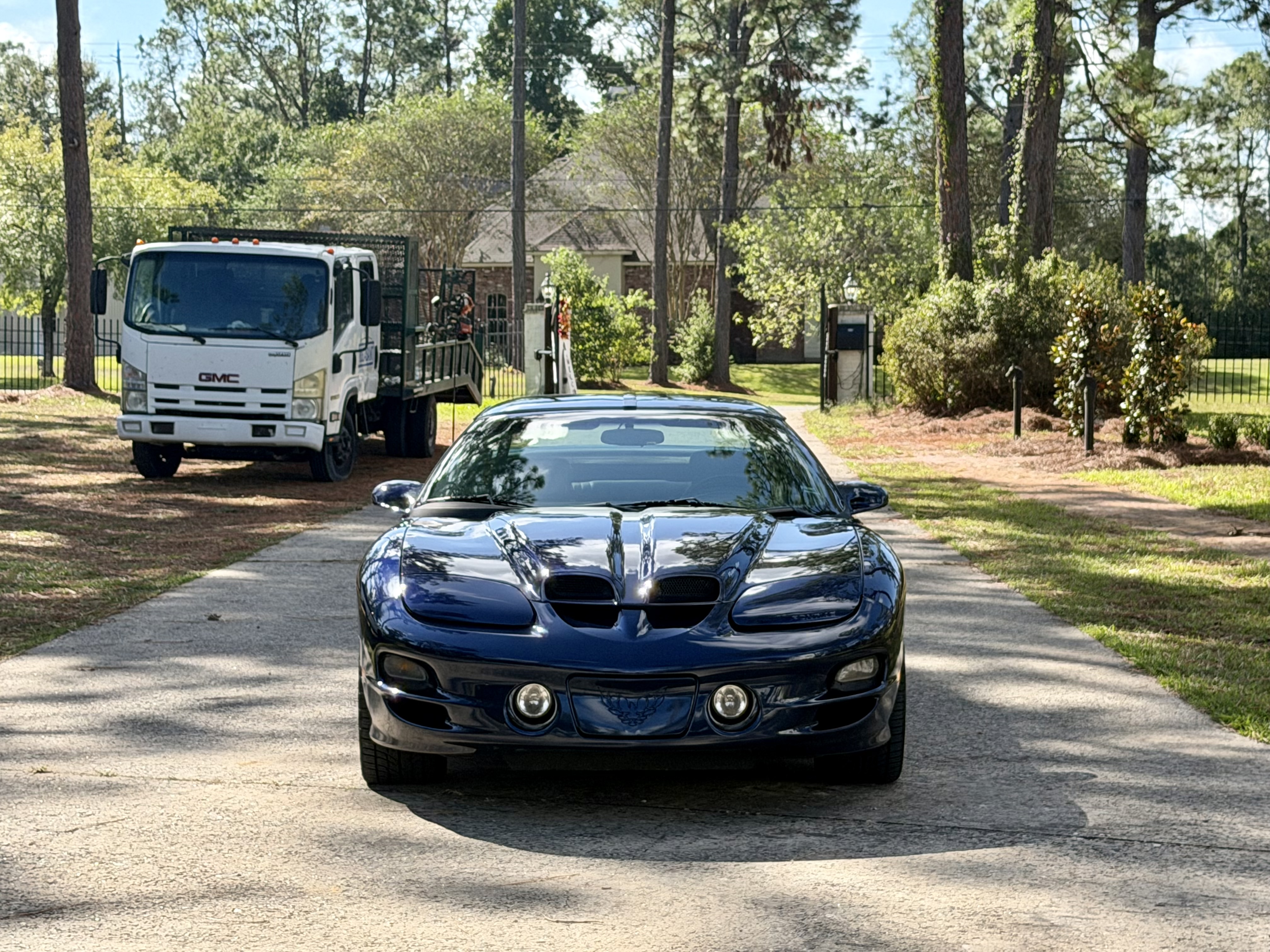 Used 2002 Pontiac Firebird Trans Am w/ SLP Firehawk Pkg RWD image 8