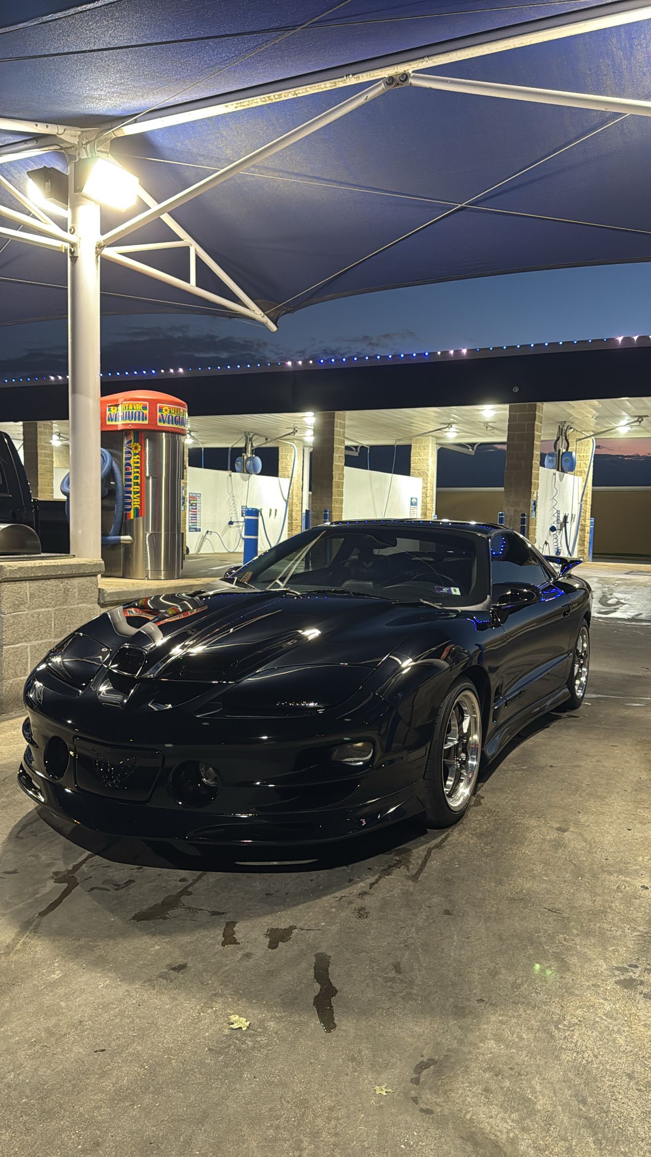 Used 2000 Pontiac Firebird Formula RWD image 5