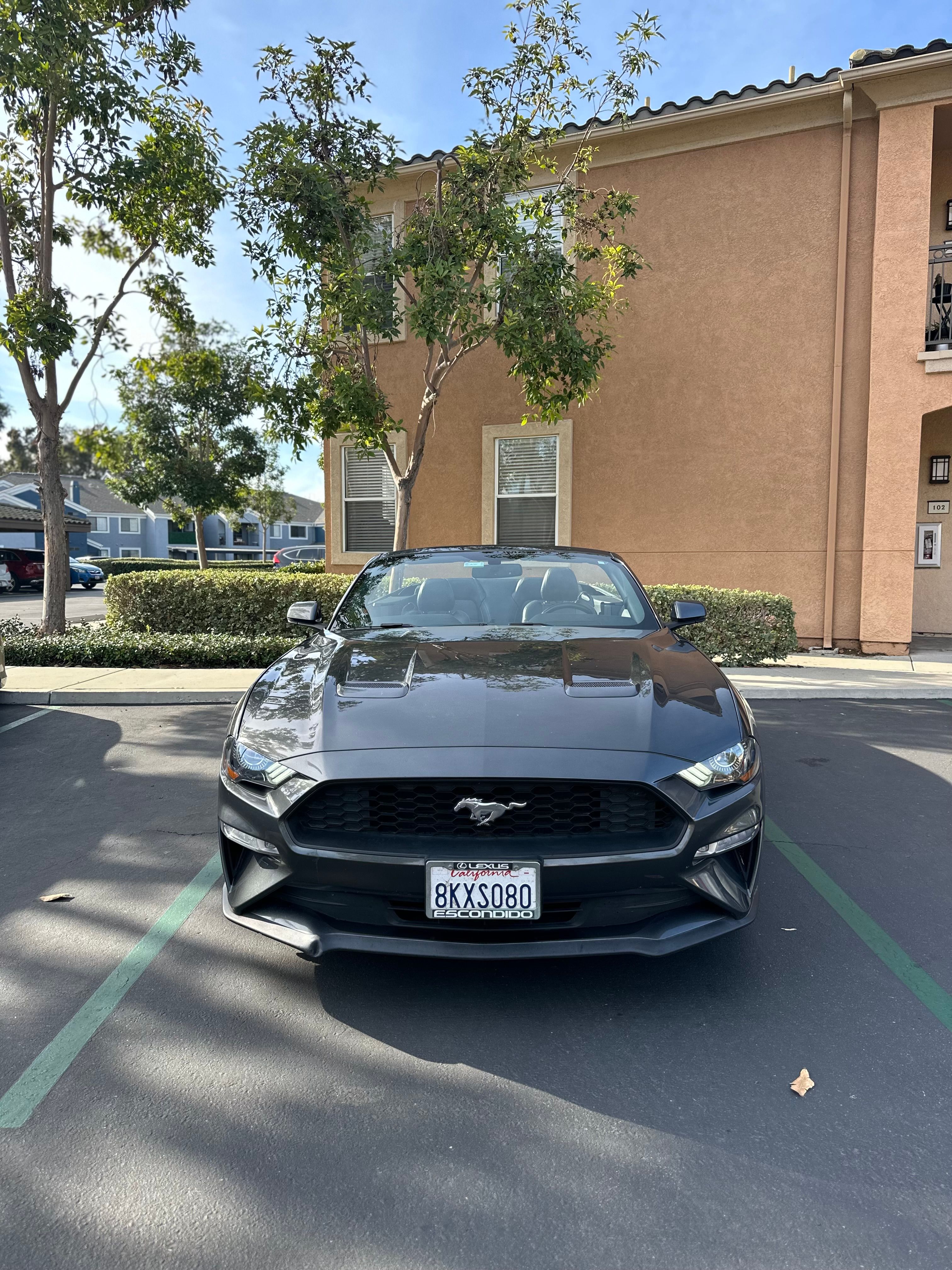 Used 2019 Ford Mustang Premium w/ Equipment Group 201A RWD image 1