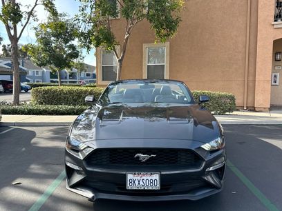 Used 2019 Ford Mustang Premium w/ Equipment Group 201A