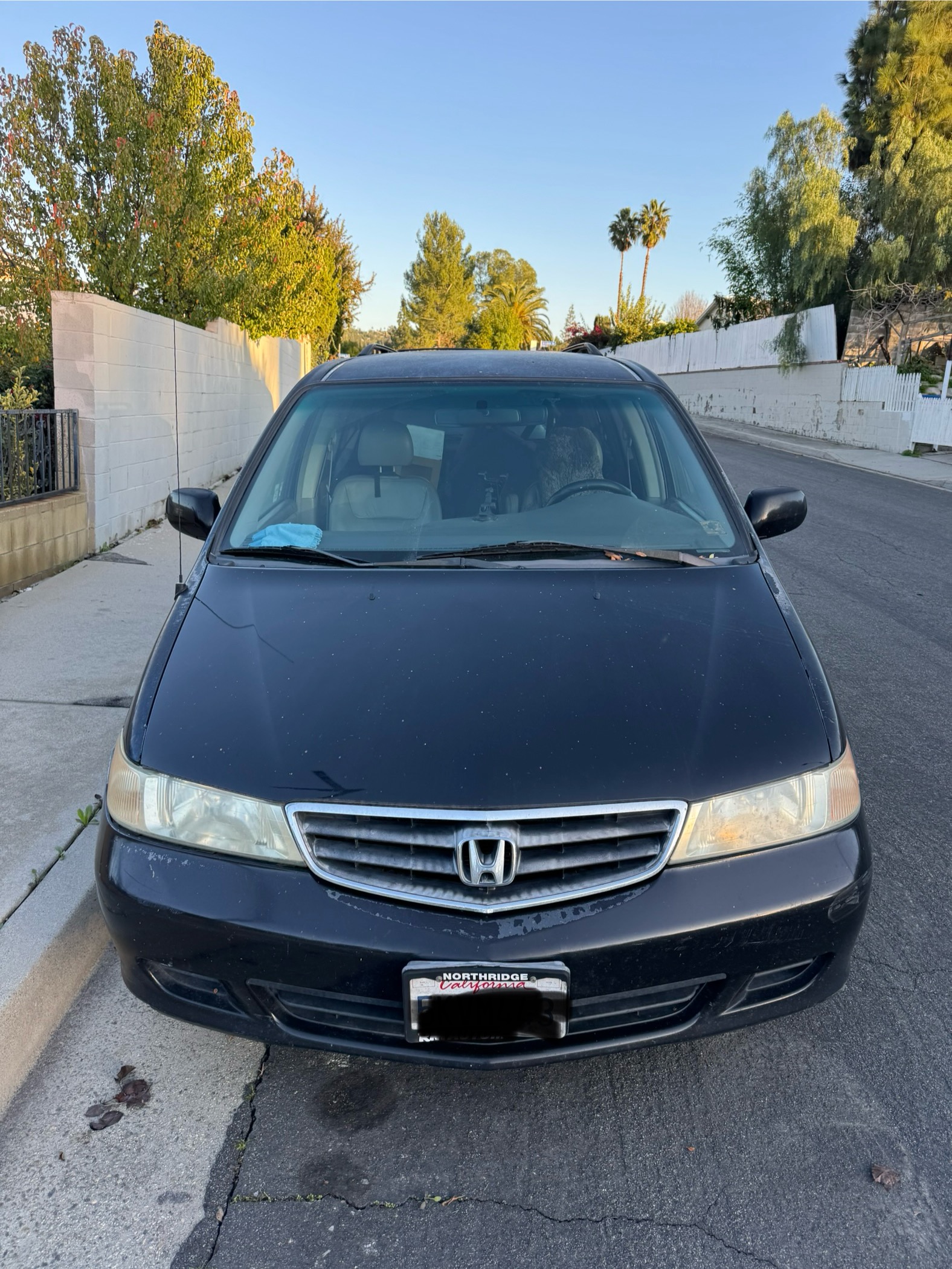 Used 2004 Honda Odyssey EX-L image 2