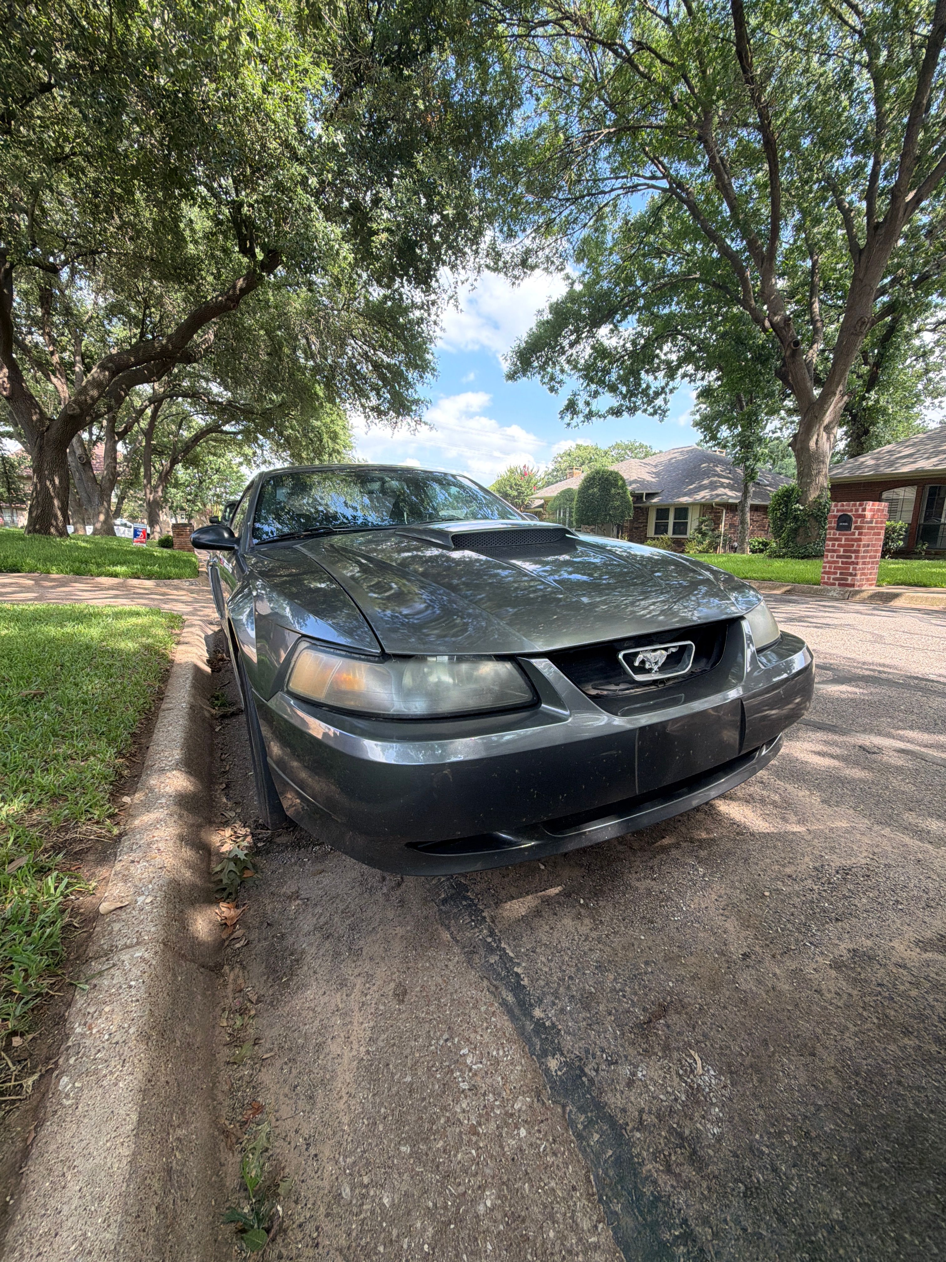 Used 2004 Ford Mustang Premium RWD image 1