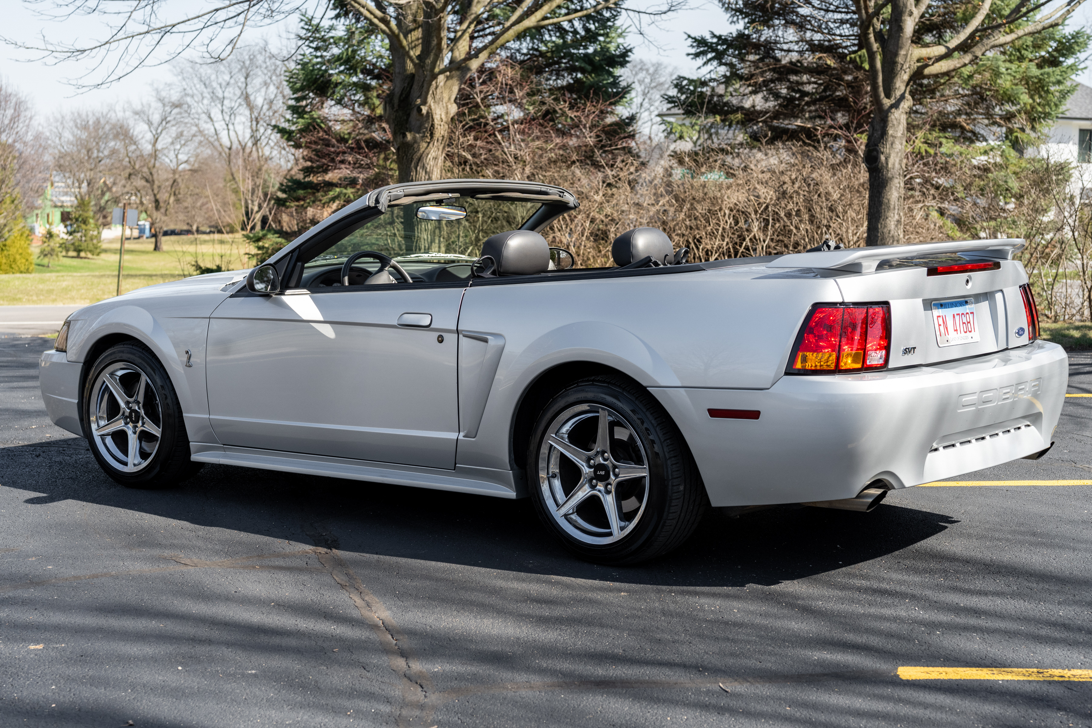 Used 2001 Ford Mustang Cobra RWD image 5
