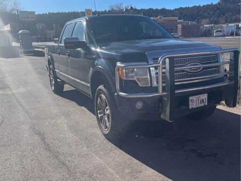 Used 2009 Ford F150 Platinum image 4