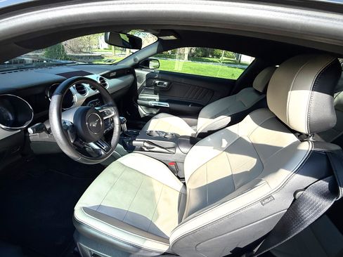 Used 2015 Ford Mustang GT Premium w/ Equipment Group 401A image 8