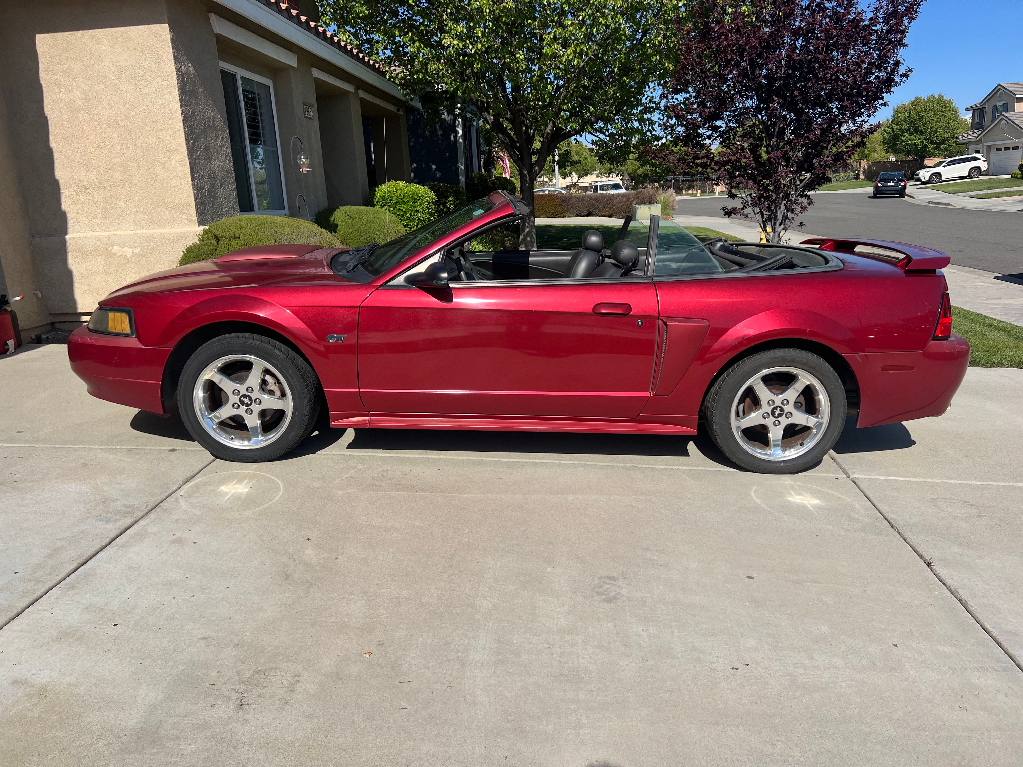 Used 2003 Ford Mustang GT Premium RWD image 8