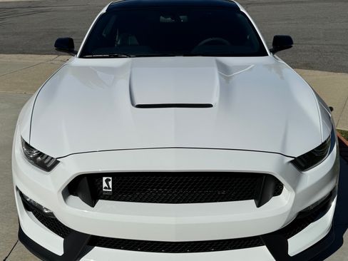 Used 2019 Ford Mustang Shelby GT350 w/ Technology Package image 1