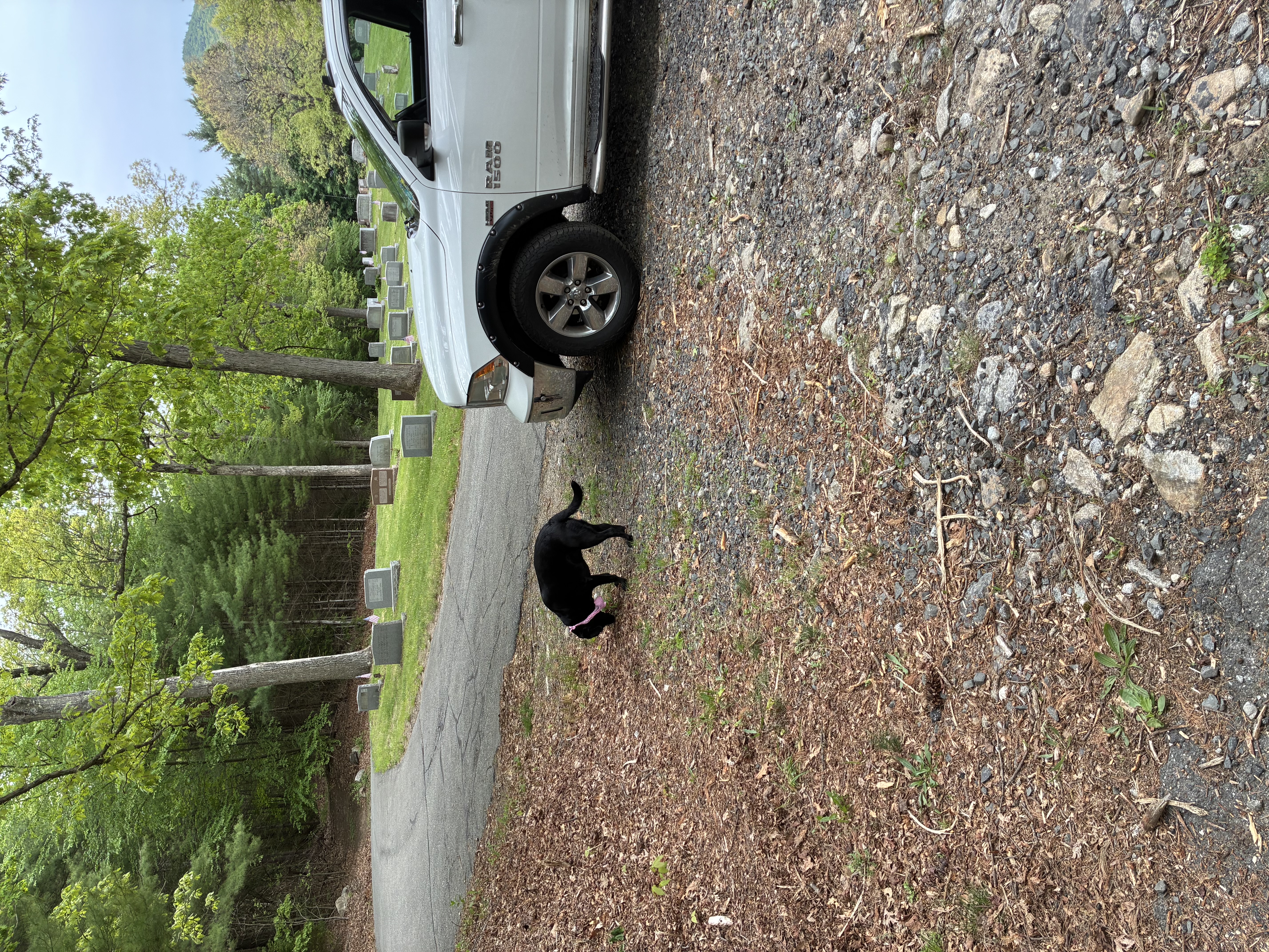 Used 2016 RAM 1500 Big Horn AWD/4WD image 6
