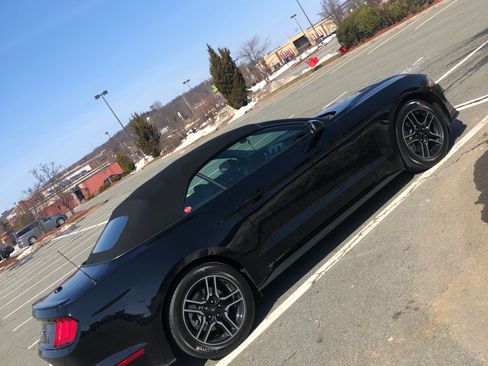 Used 2020 Ford Mustang Premium w/ Equipment Group 201A RWD image 14