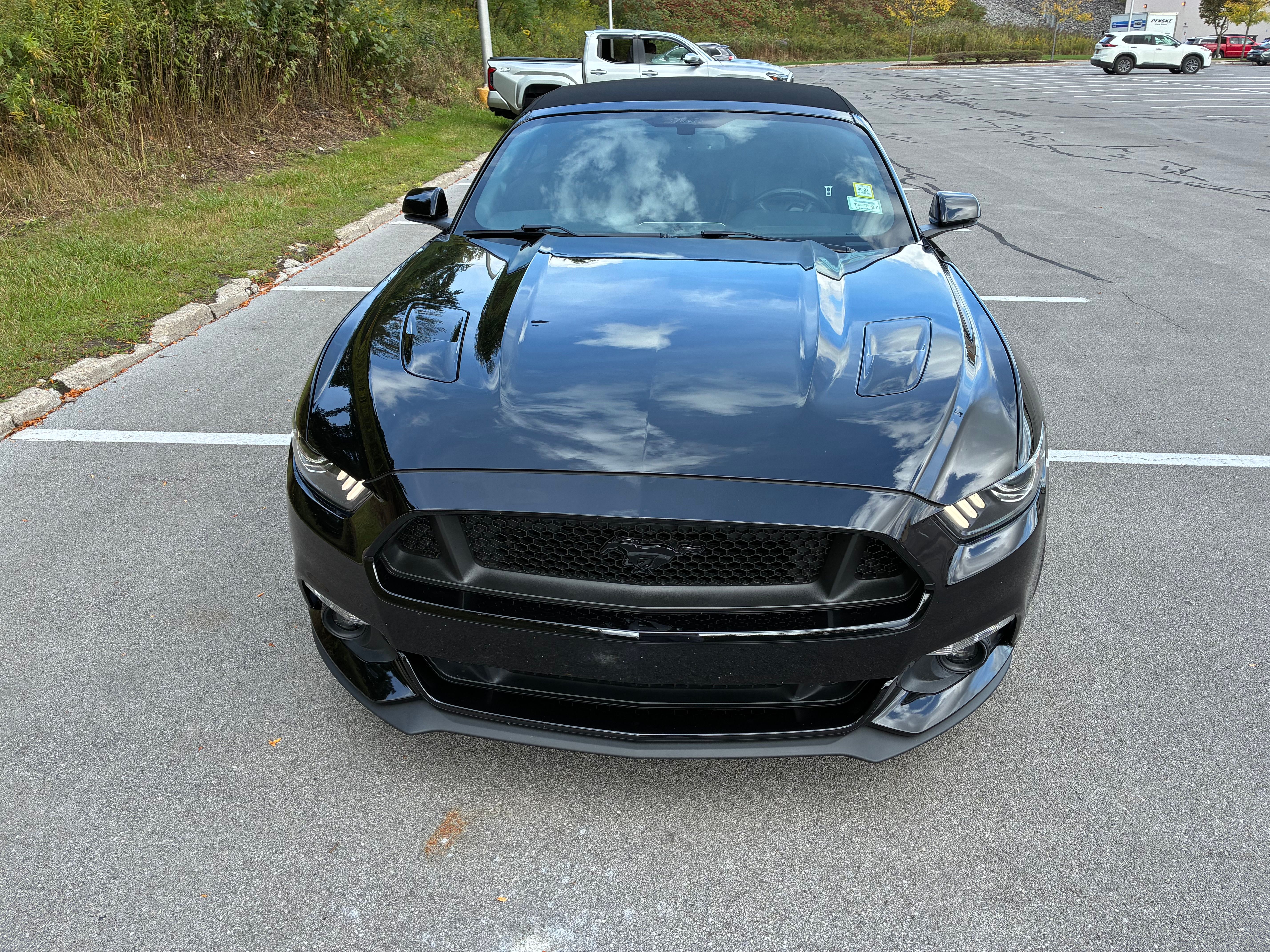 Used 2016 Ford Mustang GT Premium w/ Equipment Group 401A RWD image 8