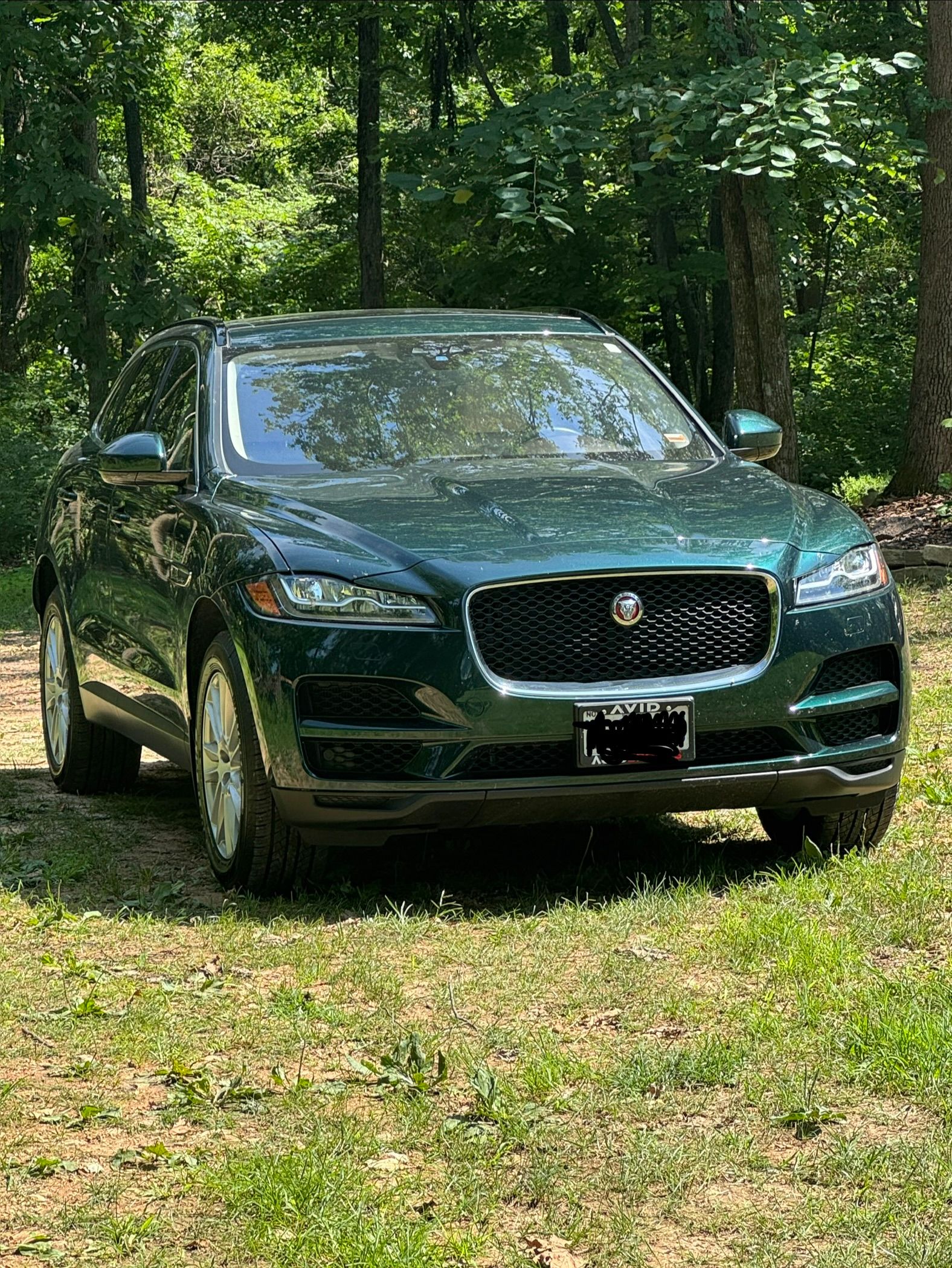 Used 2018 Jaguar F-PACE Prestige AWD/4WD image 5