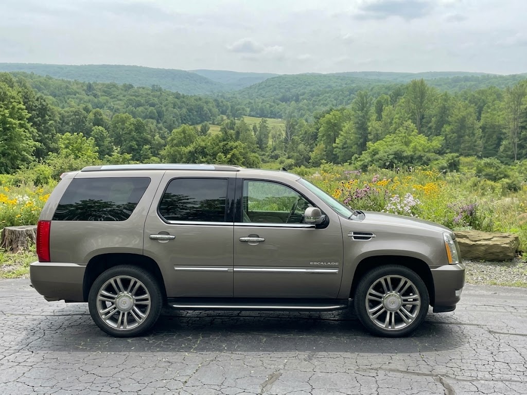 Used 2014 Cadillac Escalade Premium AWD/4WD image 15
