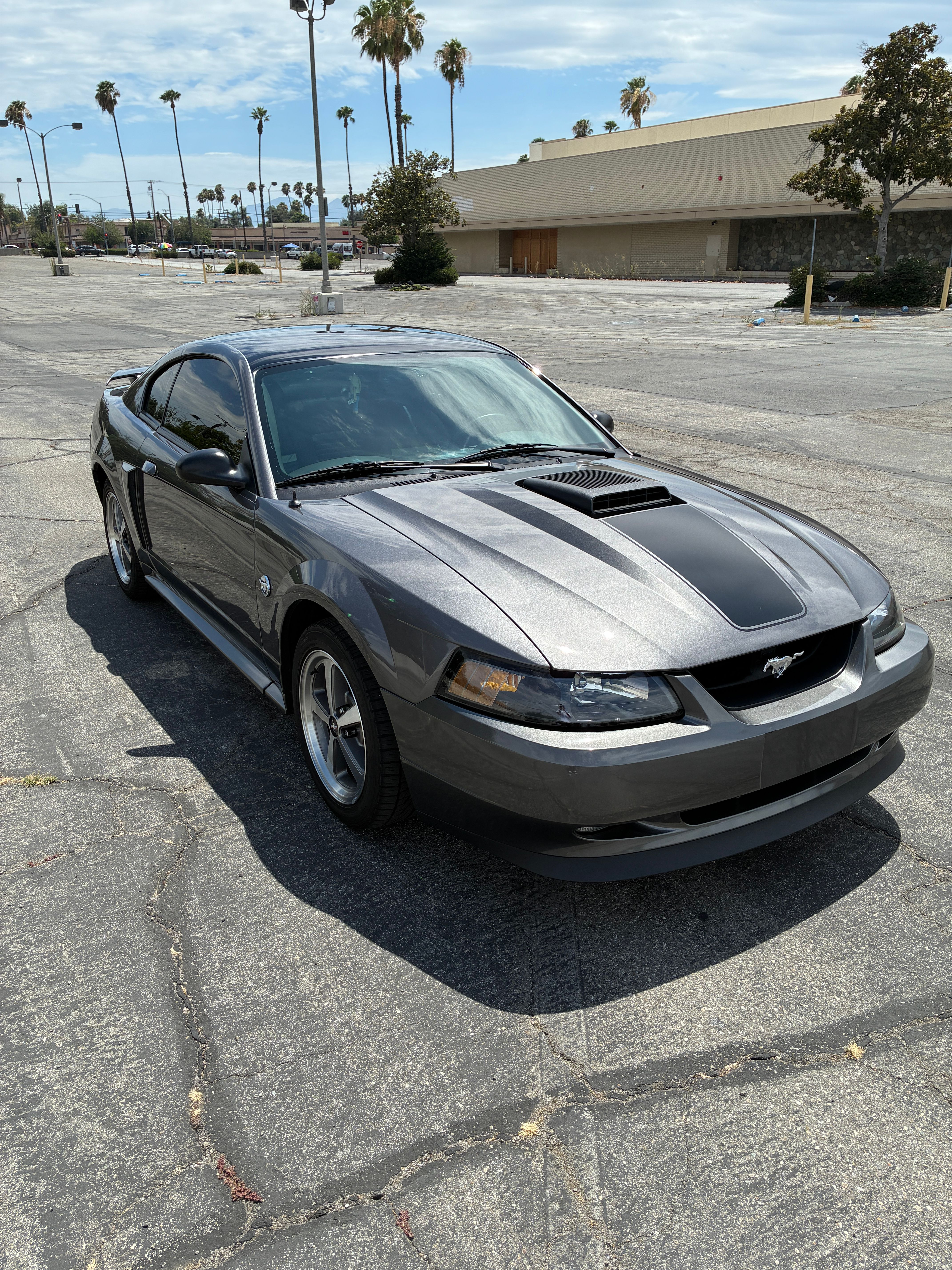 Used 2004 Ford Mustang Mach 1 RWD image 4