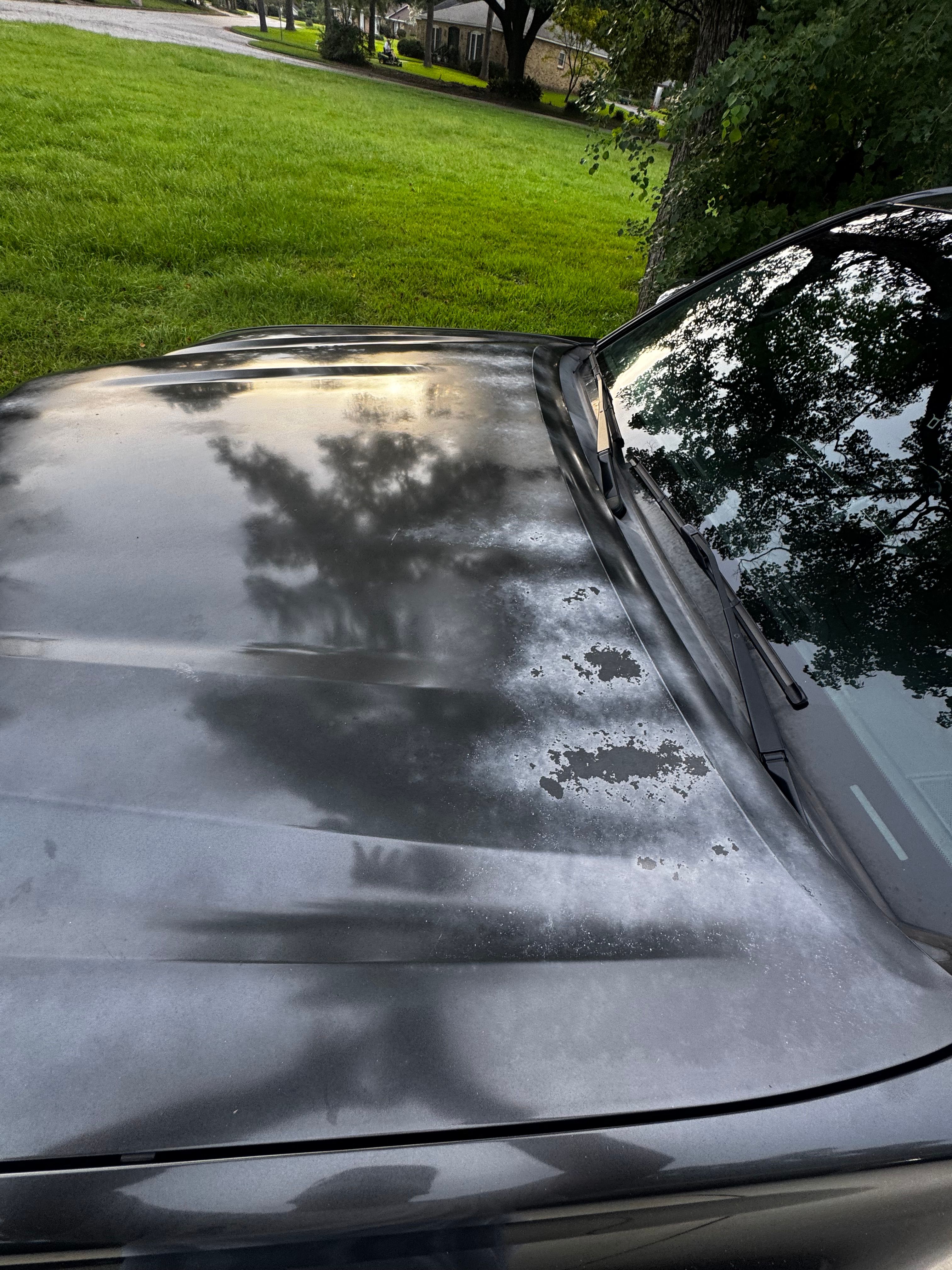 Used 2018 Toyota Tacoma Limited RWD image 13