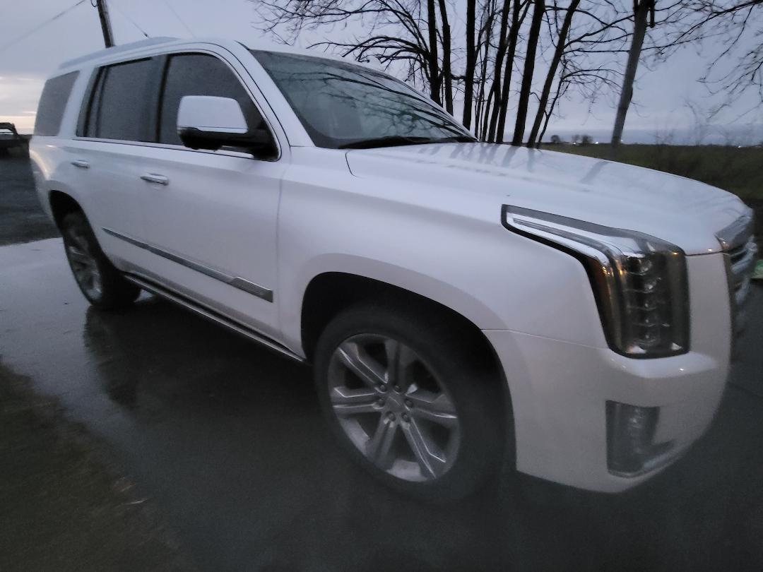 Used 2016 Cadillac Escalade Platinum AWD/4WD image 11