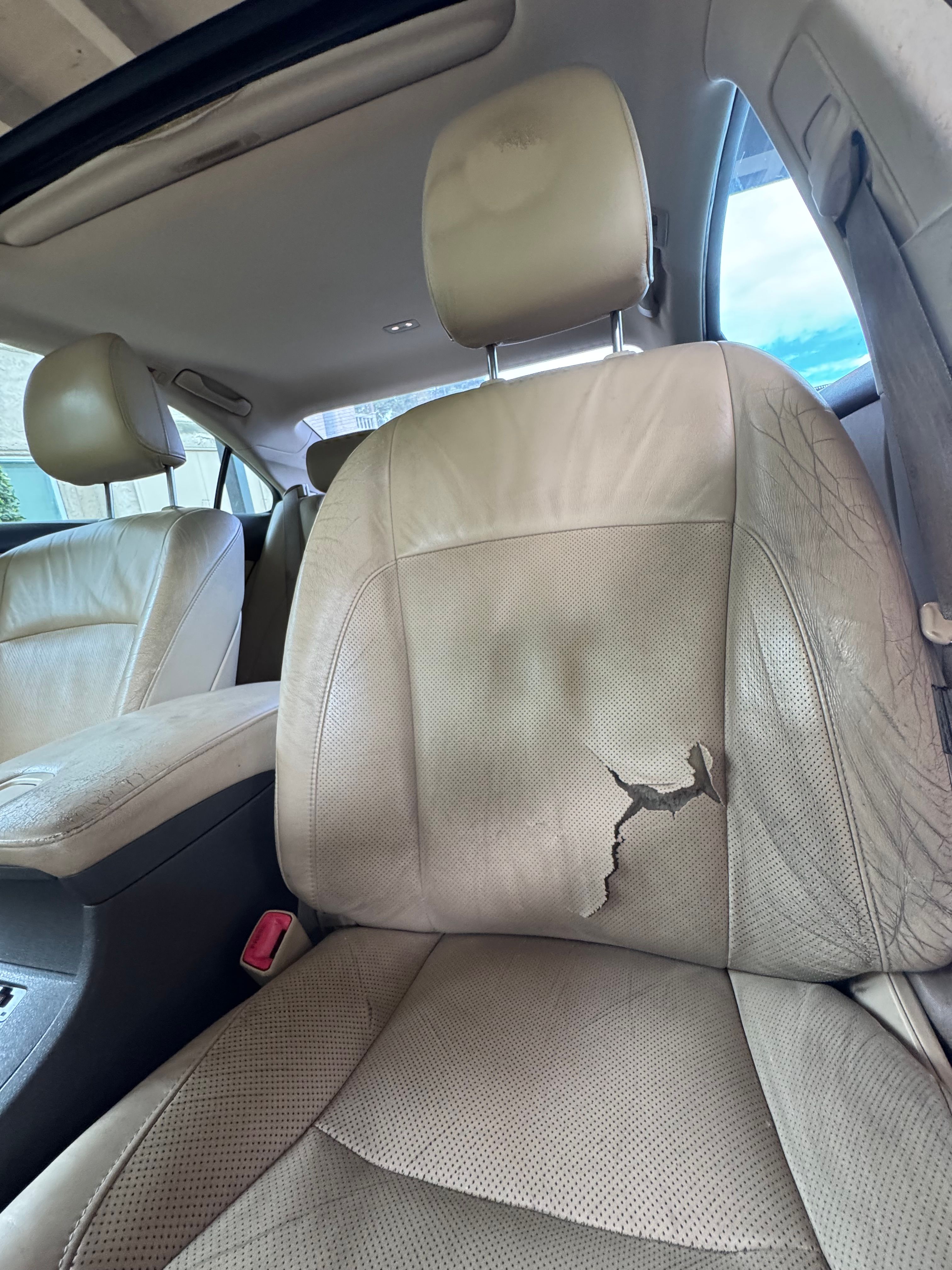 Used 2009 Lexus ES 350 w/ Premium Pkg Plus FWD image 10