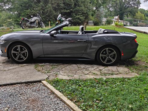 Used 2024 Ford Mustang Premium RWD image 2