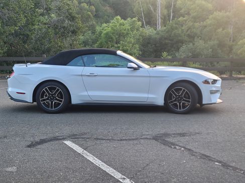 Used 2020 Ford Mustang Premium image 5