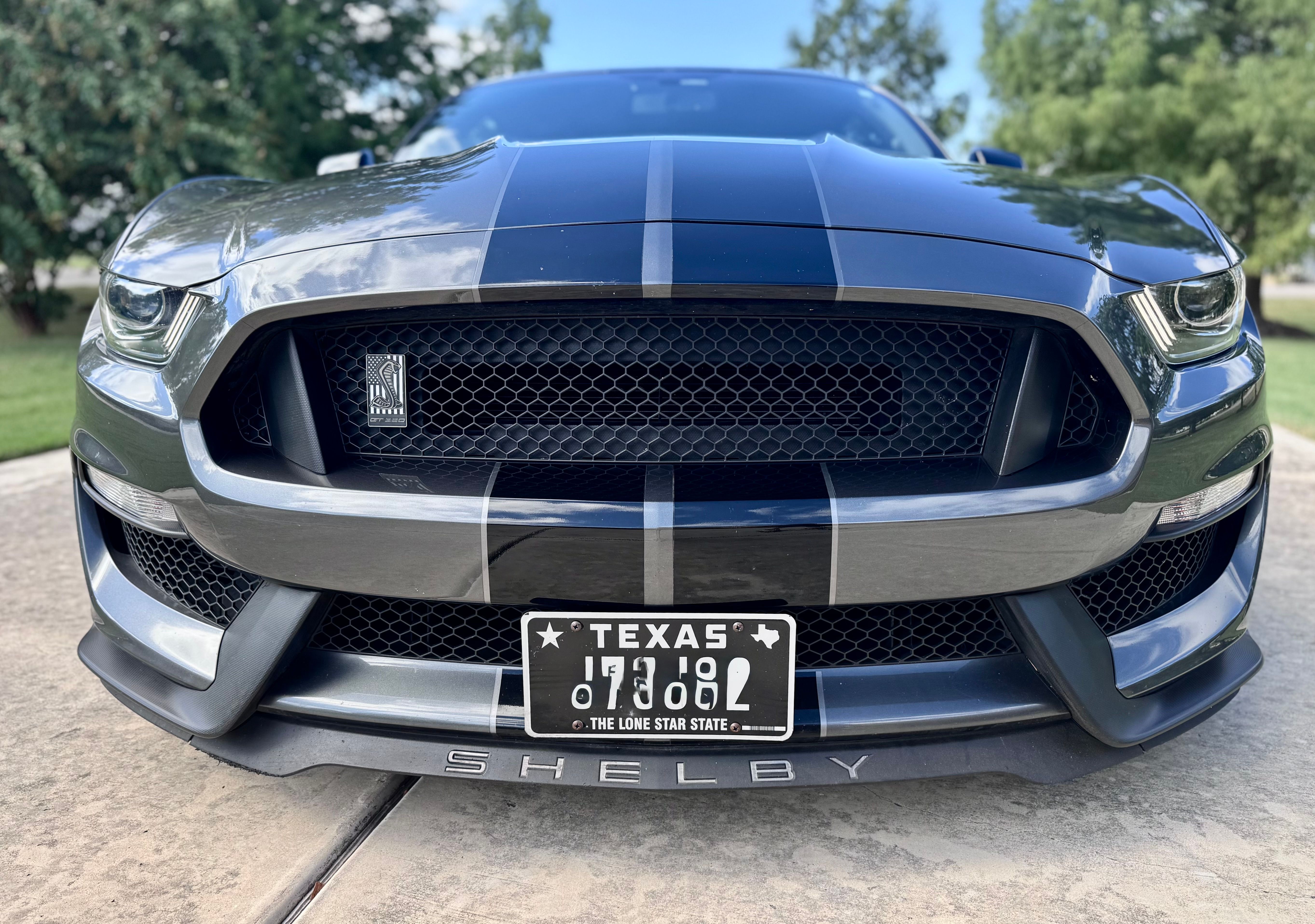 Used 2019 Ford Mustang Shelby GT350 w/ Technology Package RWD image 5