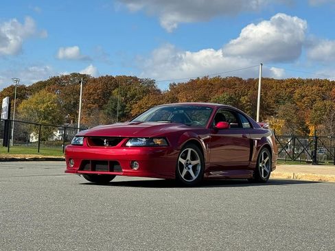 Used 2003 Ford Mustang Cobra image 1