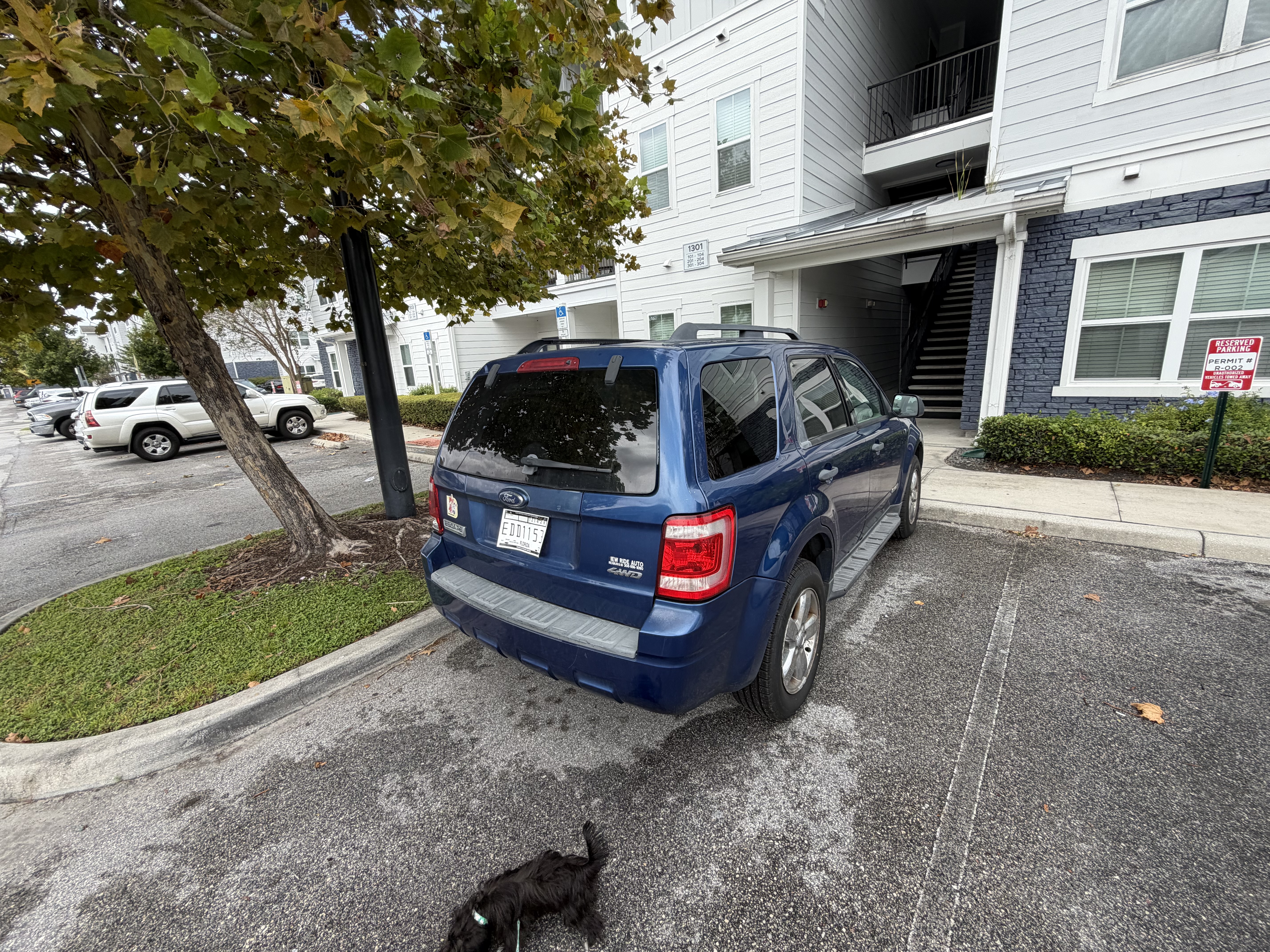 Used 2008 Ford Escape XLT AWD/4WD image 5