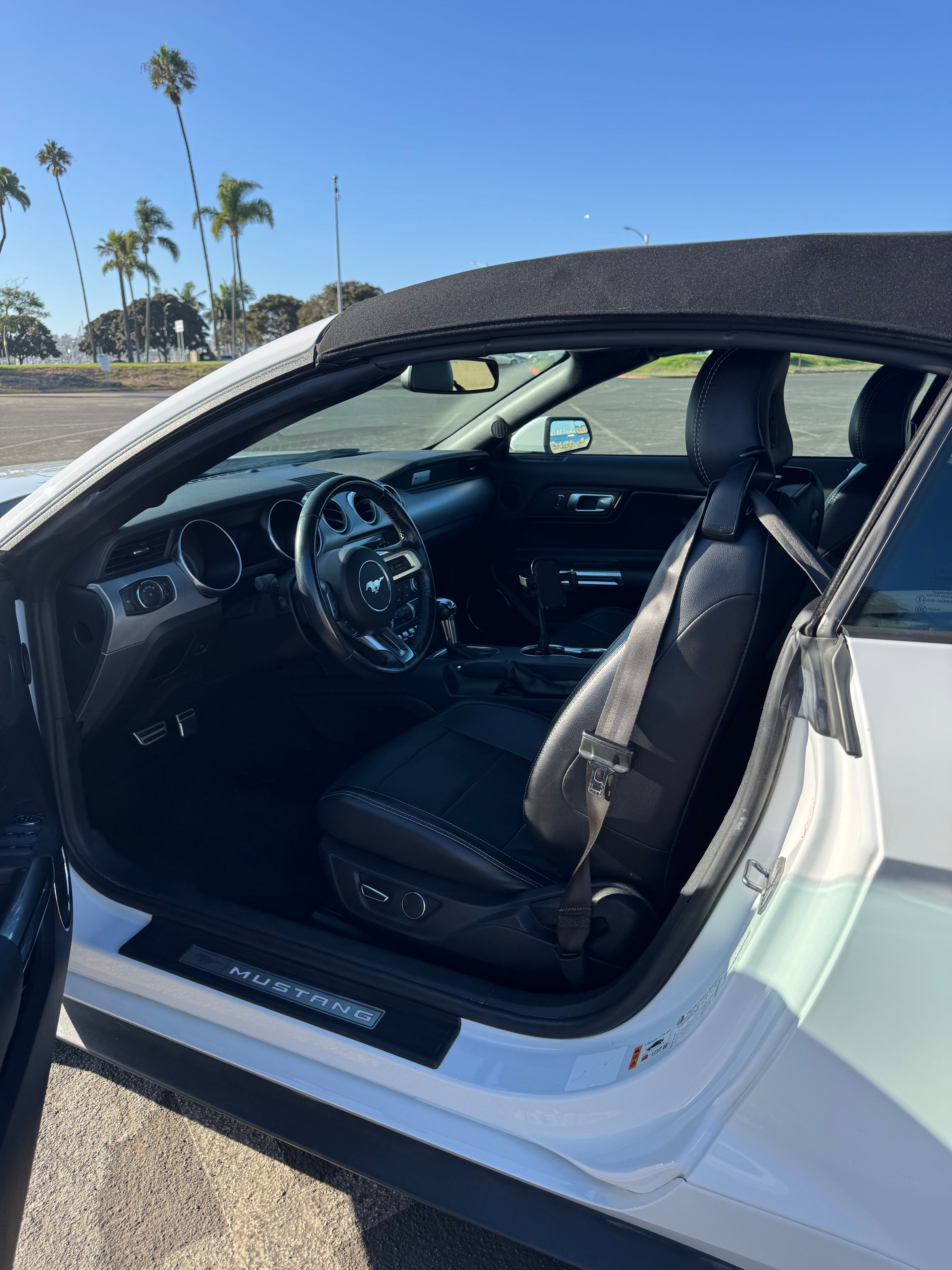 Used 2019 Ford Mustang GT Premium RWD image 5