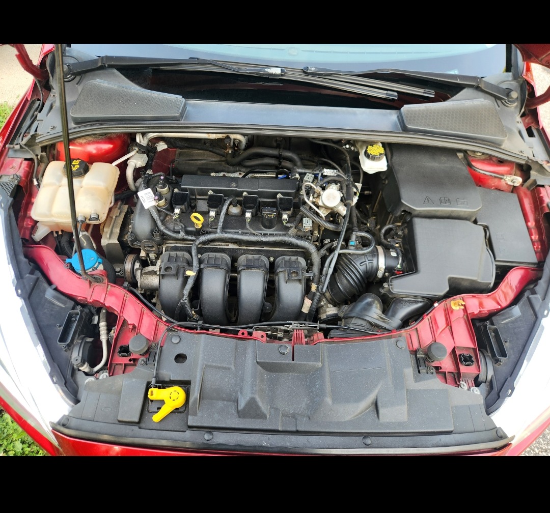 Used 2017 Ford Focus SE FWD image 15